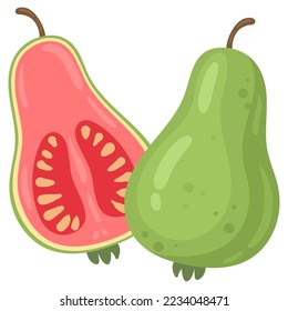 Exotic guava green fruit. Cartoon summer tropical psidium fruits, whole fruit and half flat vector illustration on white background