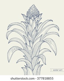 Exotic Guzmania flower. Vector engraving botany artwork. Beach bohemia concept for invitation, card, ticket, branding, boutique logo, label, emblem. Monochrome dark grey blue, beige colors