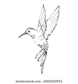 Exotic hand drawn art of bird.