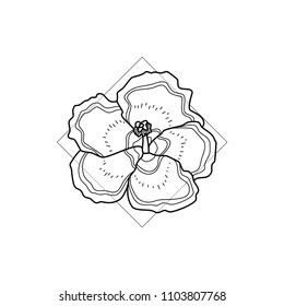 Exotic hawaii flower in geometric background. Simple icon composition. Vector illustration. Line work. Modern monochrome logotype. Nature representation.
