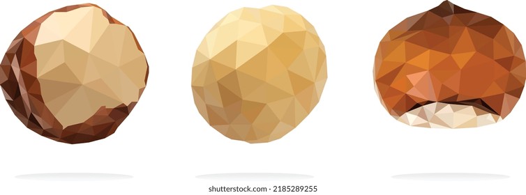 Exotic hazelnut set colorful low poly designs isolated on white background. Vector edible food illustration. Collection of hazelnut low poly or polygon style. Organic raw wild fruits.