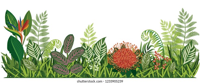 Exotic herbs isolated on white. Border. Tropical card. Exotic background with leaves and flowers. Vector illustration.
