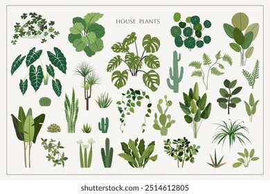 Conjunto de plantas exóticas de la casa. Selva urbana de invernadero. Flores tropicales de interior. Decoración de moda con plantas de interior en estilo plano escandinavo. Ilustración vectorial para tarjetas, Anuncio, Diseño web y cubierta