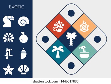 exotic icon set. 13 filled exotic icons.  Simple modern icons about  - Palm tree, Starfish, Seashell, Parrot, Shell, Peacock, Orange, Toucan, Dragon fruit, Chameleon, Snake