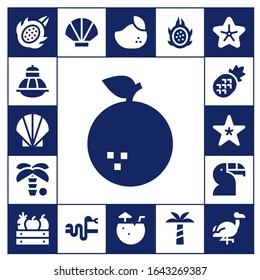exotic icon set. 17 filled exotic icons.  Simple modern icons such as: Dragon fruit, Terrarium, Seashell, Orange, Palm tree, Pineapple, Starfish, Toucan, Fruit, Snake, Mango, Coconut water