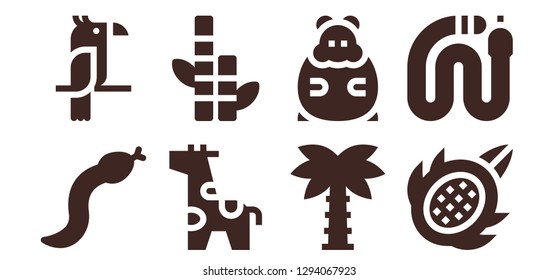  exotic icon set. 8 filled exotic icons. Simple modern icons about  - Snake, Parrot, Giraffe, Bamboo, Palm tree, Hamster, Dragon fruit