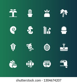 exotic icon set. Collection of 16 filled exotic icons included Toucan, Aquarium, Clown fish, Mangosteen, Tuber, Durian, Parrot, Aviary, Cactus, Seahorse, Seashell, Coconut tree