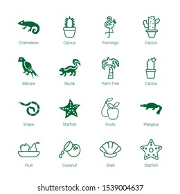 exotic icons. Editable 16 exotic icons. Included icons such as Chameleon, Cactus, Flamingo, Macaw, Skunk, Palm tree, Snake, Starfish, Fruits, Platypus. exotic trendy icons for web.