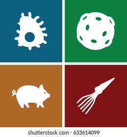 Exotic icons set. set of 4 exotic filled icons such as pig