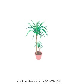 Exotic indoor plant in a pot vector illustration