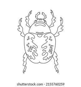 Exotic insect bug beetle. Tropical flying insect line art vector hand drawn isolated illustration. Stylized mystical design element for tattoo, print, cover, book, coloring page