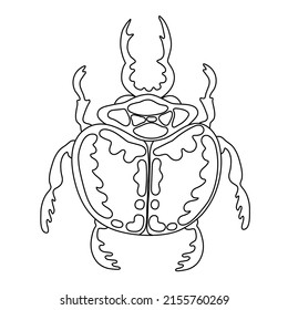 Exotic insect bug beetle. Tropical flying insect line art vector hand drawn isolated illustration. Stylized mystical design element for tattoo, print, cover, book, coloring page