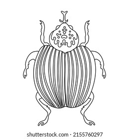 Exotic insect bug beetle. Tropical flying insect line art vector hand drawn isolated illustration. Stylized mystical design element for tattoo, print, cover, book, coloring page
