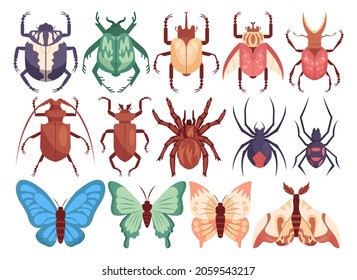 Exotic insect set. Tropical spiders, bugs, butterflies, moths and beetles. Colorful wildlife, decorative collection. Flat vector illustration