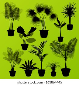 Exotic jungle bushes grass, reed, palm tree wild plants detailed silhouettes illustration collection background vector