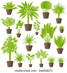 Exotic jungle bushes grass, reed, palm tree wild plants set vector background concept house plants