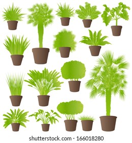 Exotic jungle bushes grass, reed, palm tree wild plants set vector background concept house plants