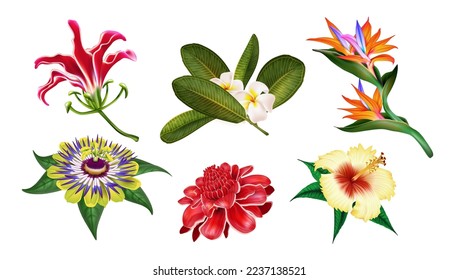 Exotic jungle flowers, Hawaiian plants. Bali orchid, Caribbean floral leaf, Indonesia summer party decor. Realistic tropical flora. Decorative elements. Vector collection exact illustration