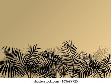 Exotic jungle forest plants, leafs and grass detailed silhouette landscape illustration background vector