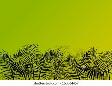 Exotic jungle forest plants, leafs and grass detailed silhouette landscape illustration background vector