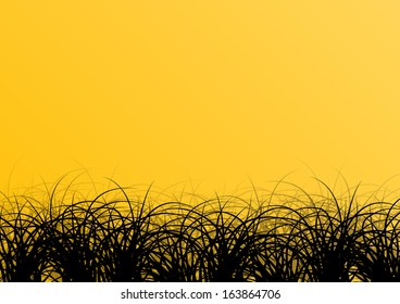 Exotic jungle grass detailed silhouette landscape illustration background vector