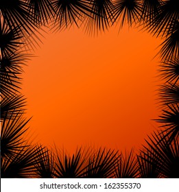 Exotic jungle palm tree forest plants leafs detailed silhouette landscape illustration background vector