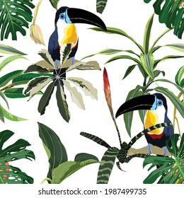 Exotic jungle plants illustration pattern with toucan bird. Floral seamless pattern. Fashionable template for design. White background.