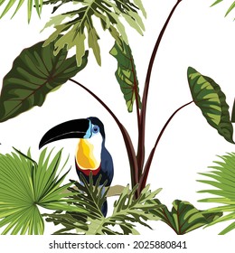 Exotic jungle plants illustration pattern with toucan bird, tropical leaves. Creative  floral seamless pattern. Fashionable template for design. White background.