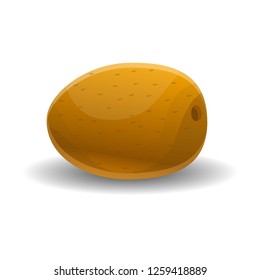 Exotic kiwi fruit icon. Cartoon of exotic kiwi fruit vector icon for web design isolated on white background