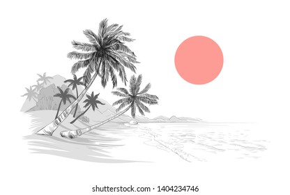 
Exotic  landscape with palm trees by the sea. Vector illustration of the beach. Monochrome vintage image.