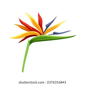 Exotic leaf concept. Tropical branch and plant part. Jungle and rainforest. Colorful flower with stems. Botany and floristry. Cartoon flat vector illustration isolated on white background