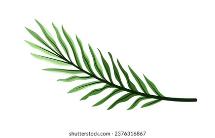 Exotic leaf concept. Tropical branch and plant part. Jungle and rainforest. Botany and floristry. Template and layout. Cartoon flat vector illustration isolated on white background