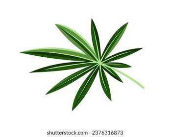 Exotic leaf concept. Tropical branch and plant part. Jungle and rainforest. Floristry and botany. Sticker for social networks. Cartoon flat vector illustration isolated on white background