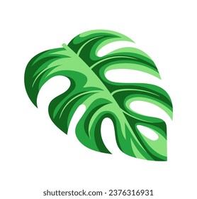 Exotic leaf concept. Tropical branch and plant part. Jungle and rainforest. Foliage and leaves. Template and layout. Cartoon flat vector illustration isolated on white background