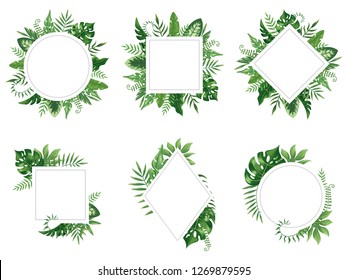 Exotic leaf frame. Spring leaves card, tropical tree frames and vintage floral jungle border. Rainforest jungle palm tree party postcard or hawaii banner isolated vector icons set