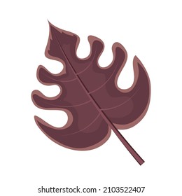 icono de hoja exótica aislado
