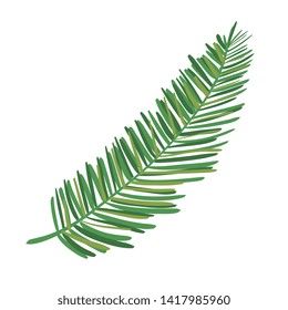 exotic leaf palm tropical icon