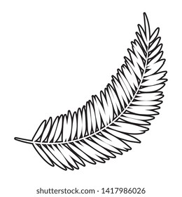 exotic leaf palm tropical icon
