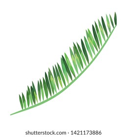 exotic leaf palm tropical icon