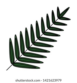 exotic leaf palm tropical icon