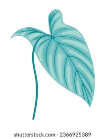 diseño aislado de plantas de hoja exótica