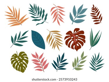Exotic leaf set. Tropical jungle leaves. Green foliage plants, palm, monstera, banana. Natural eco design elements. Botanical decorations. Flat graphic vector illustration isolated on white background
