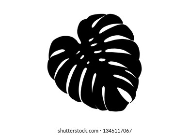 Exotic leaf, vector black color silhouette illustration for icon, logo, poster, banner. Abstract plant leaf, botanic element, isolated without background. For exotic shop, floral pattern, summer art