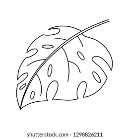 Exotic Leaf Vintage vector botanical illustration drawn by hand - Vector EPS