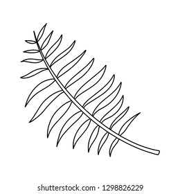 Exotic Leaf Vintage vector botanical illustration drawn by hand - Vector EPS