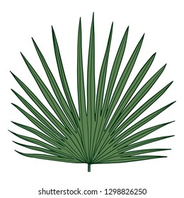 Exotic Leaf Vintage vector botanical illustration drawn by hand - Vector EPS