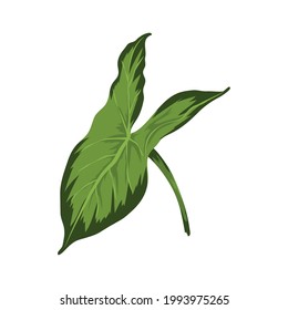 exotic leave palm tropical icon