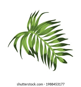 exotic leave plant tropical icon