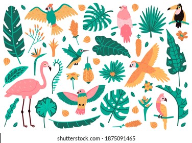 Hojas y pájaros exóticos. Hojas tropicales, flores y aves de fauna, loro, flamingo rosado y tocan. Ilustraciones vectoriales de elementos exóticos de la jungla. Fauna y ave, tropicales y flamingo