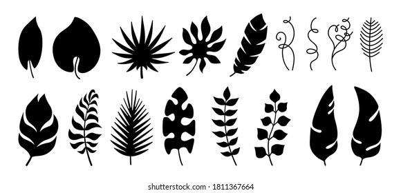 Exotic leaves black silhouette set. Tropical foliage, monochrome plants. Palm, branches and wild leaf collection. Hawaiian hand drawn jungle. Vector illustration on white background